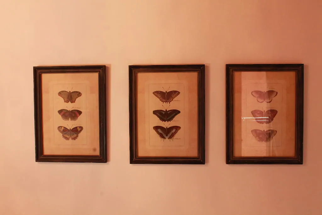 Rigoletto Charm Bed & Breakfast Venice